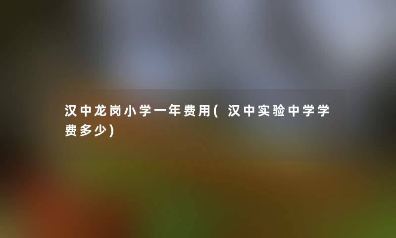 汉中龙岗小学一年费用(汉中实验中学学费多少)