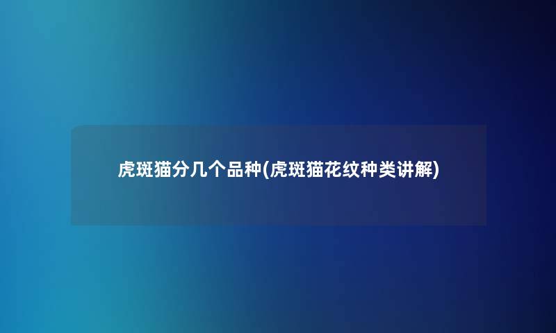 虎斑猫分几个品种(虎斑猫花纹种类讲解)