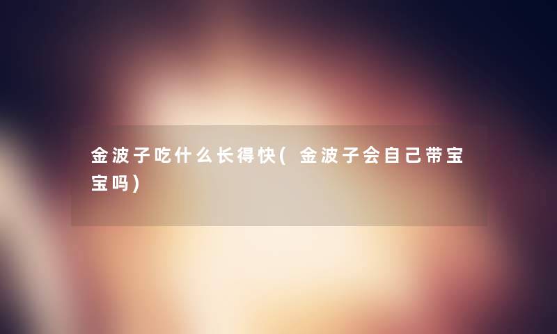 金波子吃什么长得快(金波子会自己带宝宝吗)