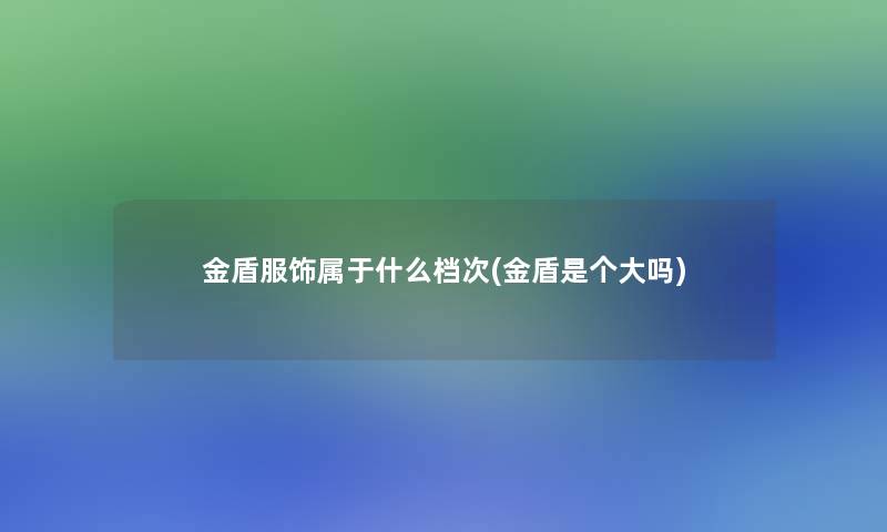 金盾服饰属于什么档次(金盾是个大吗)