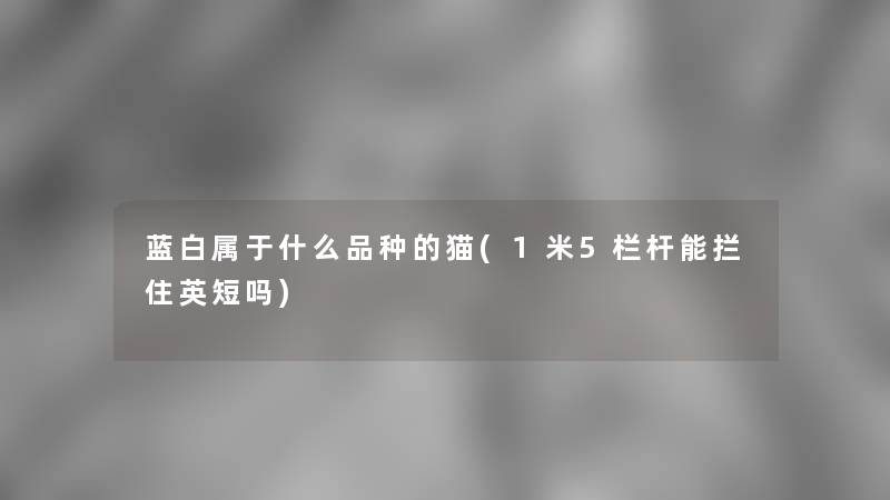 蓝白属于什么品种的猫(1米5栏杆能拦住英短吗)