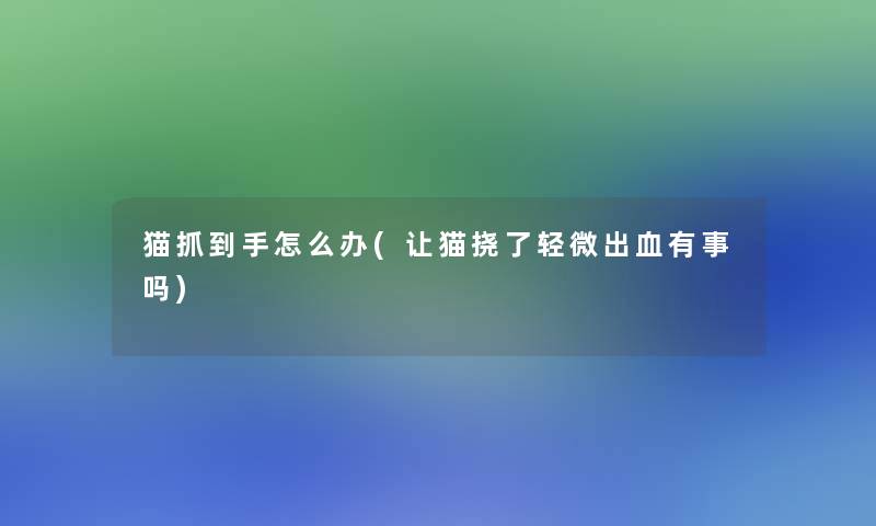 猫抓到手怎么办(让猫挠了轻微出血有事吗)
