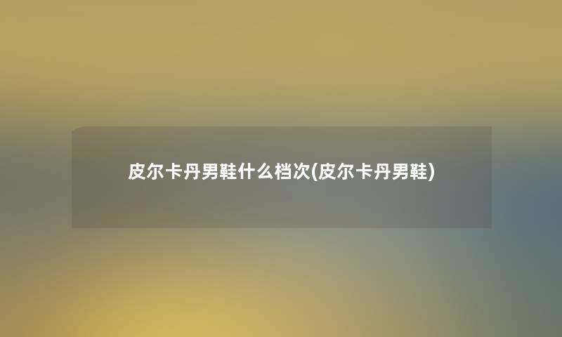 皮尔卡丹男鞋什么档次(皮尔卡丹男鞋)