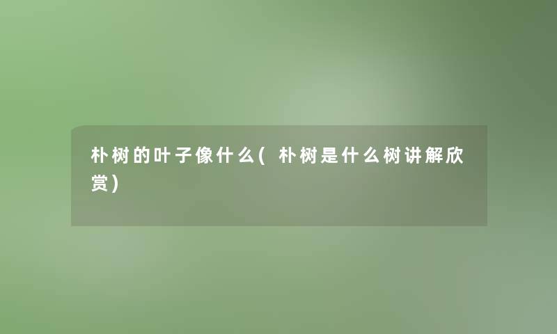 朴树的叶子像什么(朴树是什么树讲解欣赏)
