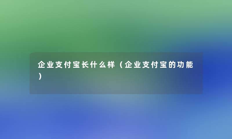 企业支付宝长什么样（企业支付宝的功能）