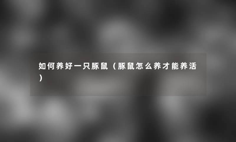 如何养好一只豚鼠（豚鼠怎么养才能养活）