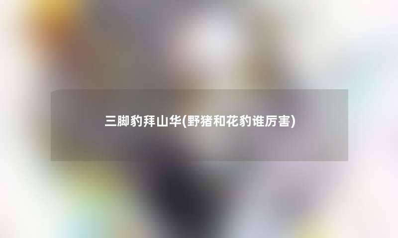 三脚豹拜山华(野猪和花豹谁厉害)