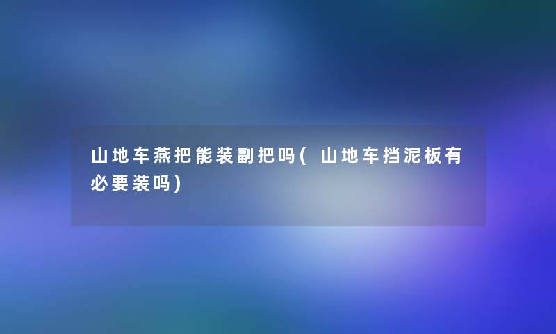 山地车燕把能装副把吗(山地车挡泥板有必要装吗)