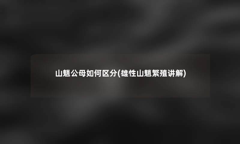 山魈公母如何区分(雄性山魈繁殖讲解)