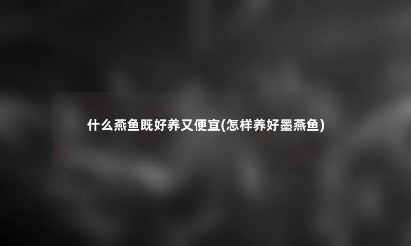 什么燕鱼既好养又便宜(怎样养好墨燕鱼)