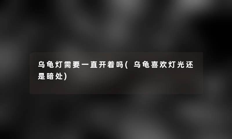 乌龟灯需要一直开着吗(乌龟喜欢灯光还是暗处)