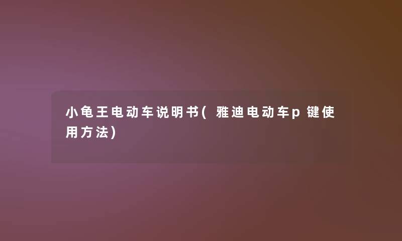 小龟王电动车说明书(雅迪电动车p键使用方法)