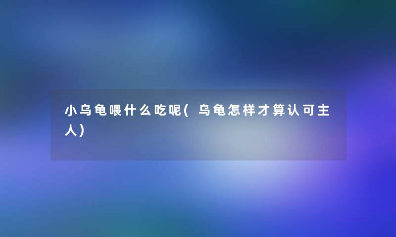 小乌龟喂什么吃呢(乌龟怎样才算认可主人)