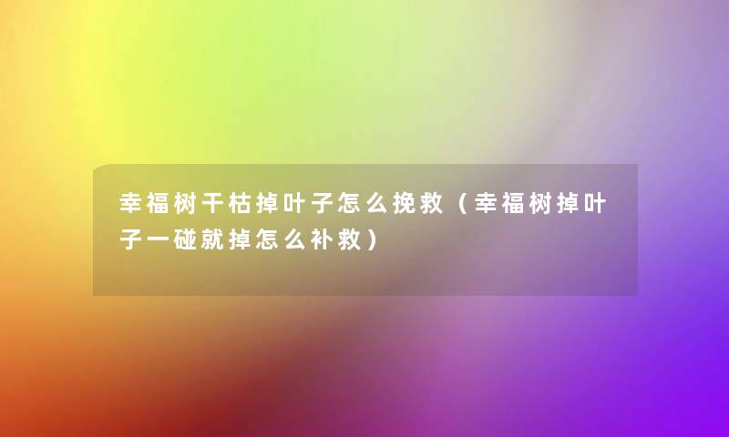 幸福树干枯掉叶子怎么挽救（幸福树掉叶子一碰就掉怎么补救）