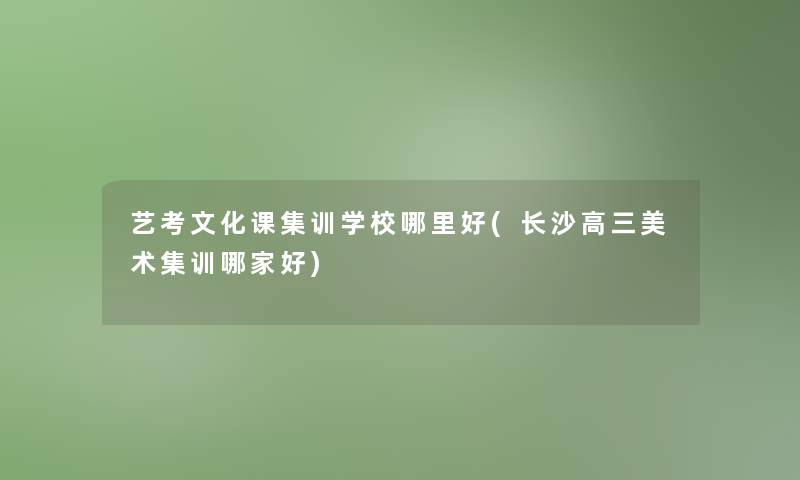 艺考文化课集训学校哪里好(长沙高三美术集训哪家好)