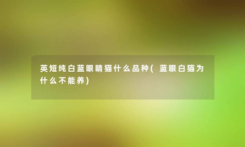 英短纯白蓝眼睛猫什么品种(蓝眼白猫为什么不能养)