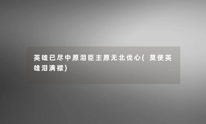 英雄已尽中原泪臣主原无北伐心(莫使英雄泪满襟)