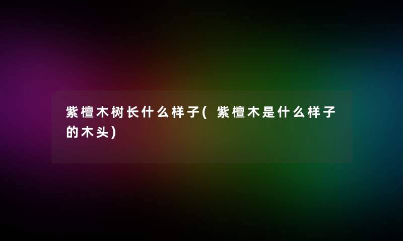 紫檀木树长什么样子(紫檀木是什么样子的木头)